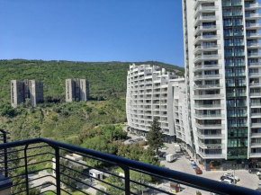 Tbilisi rest time apartment